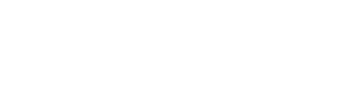 zoyya logo